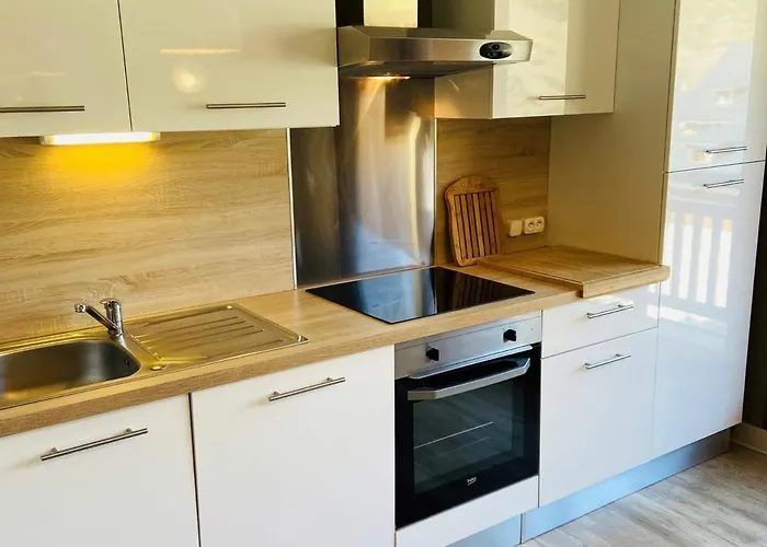 Duplex Moderne Aux Deux Alpes Avec Vue Montagnes Et Balcon, Parking Inclus - Fr-1-516-22